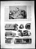 Old Print 1888 Edison Phonograph Laboratory Hospital Horses Dogs Animals 19th