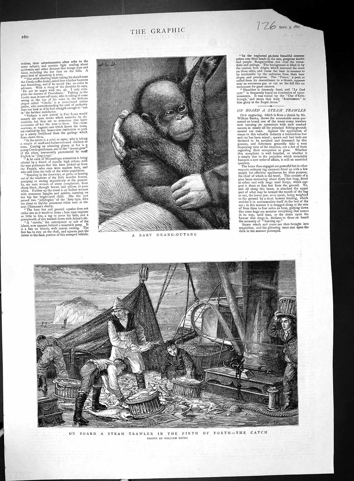 Antique Print 1881 Baby Orang-Outang Steam Trawler Firth Forth Fishing Boat
