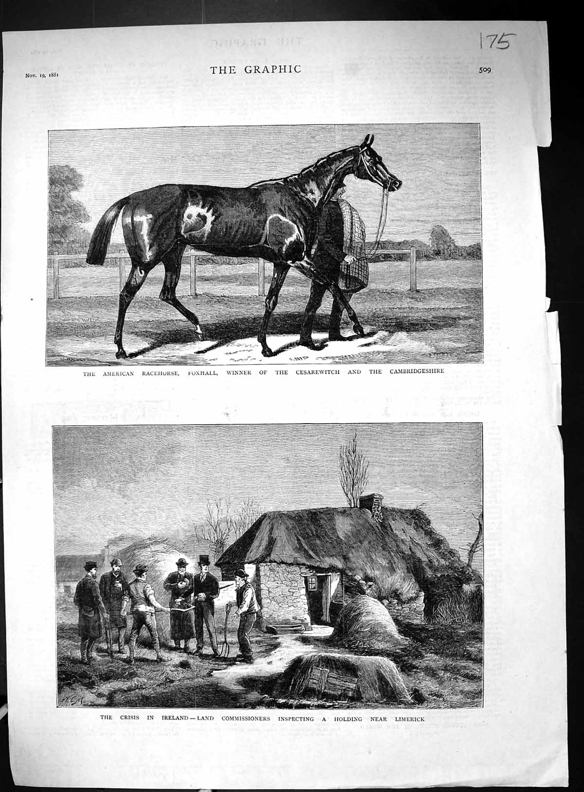 Old Print 1881 American Race Horse Foxhall Ireland Land Commissioners Hi 19th