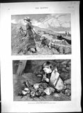 Old Print 1887 Magic Flute Little Boy Sandhills Jutland Sheep Shepherdess 19th