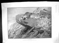 Old 1903 Leopards Mountains Thorneycrt Hudson Ragging Hayes Williams 20th