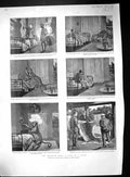 Old 1903 Mosquito Trap Tale Tiger India Colonel Edis Holborn Queen Sh 20th