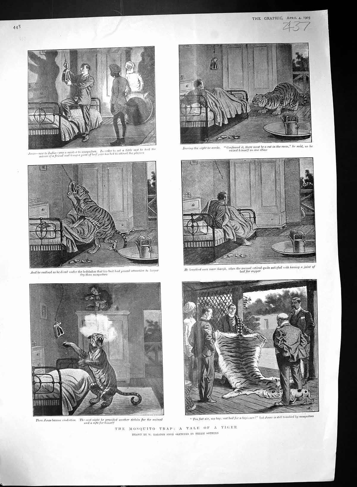 Old 1903 Mosquito Trap Tale Tiger India Colonel Edis Holborn Queen Sh 20th