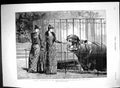 Old 1891 Zoological Gardens Ladies Hippopotamus Silver Salver Colonel 19th