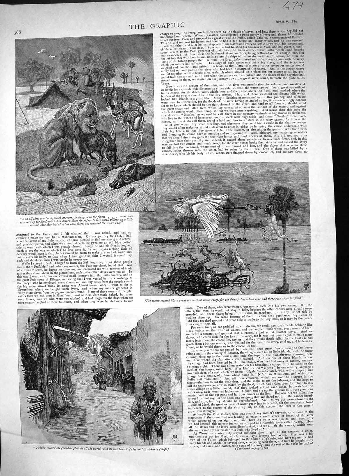 Old 1889 Animals Lion Street Scene Kakuba Dakakin Shops Dokaka Native 19th