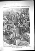 Old 1900 Women Husking Walnut Covent Garden Market Siers Home HodsVictorian