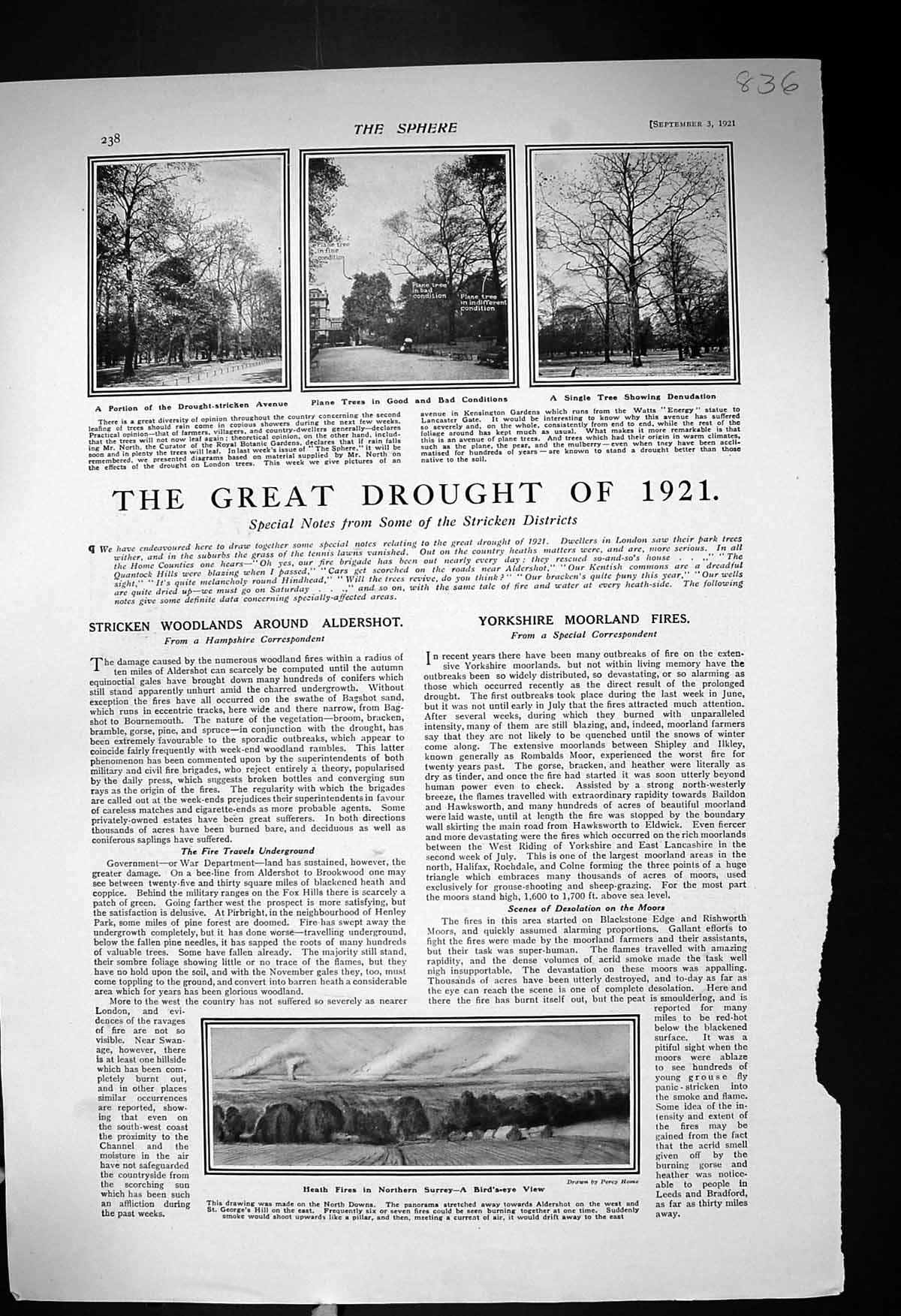 Old 1921 Heath Fires Surrey Drought England Sea Scout School Scarboro 20th