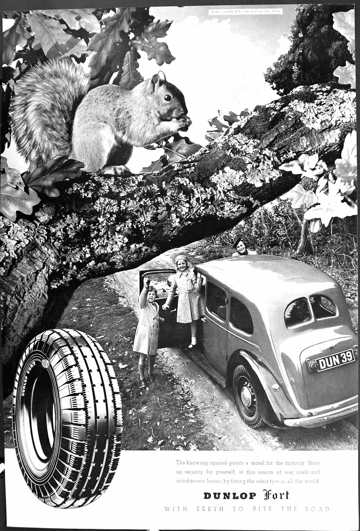 Antique Old Print 1939 Advertisement Dunlop Motor Car Tyres Squirrel Children