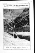 Old 1920 Ethereal Beauty Tree Stream Mountain Grindelwald Valley Swit 20th