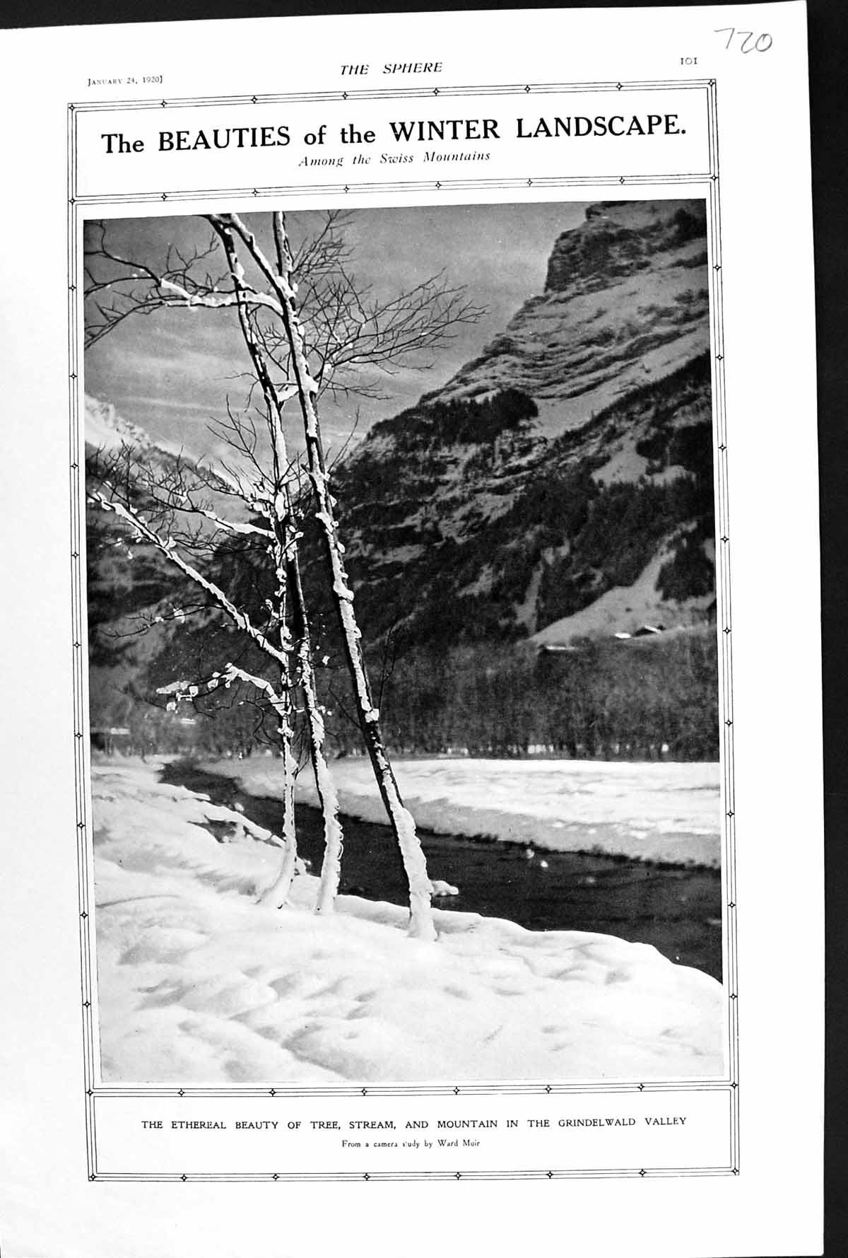 Old 1920 Ethereal Beauty Tree Stream Mountain Grindelwald Valley Swit 20th