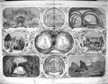 Old 1861 Christmas Theatre Drury Britannia Haymarket Princess'S Coven 19th