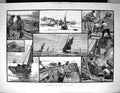 Old 1883 Shrimping Fishing Shrimps Ships Boats Shrimpers Industry Wel 19th