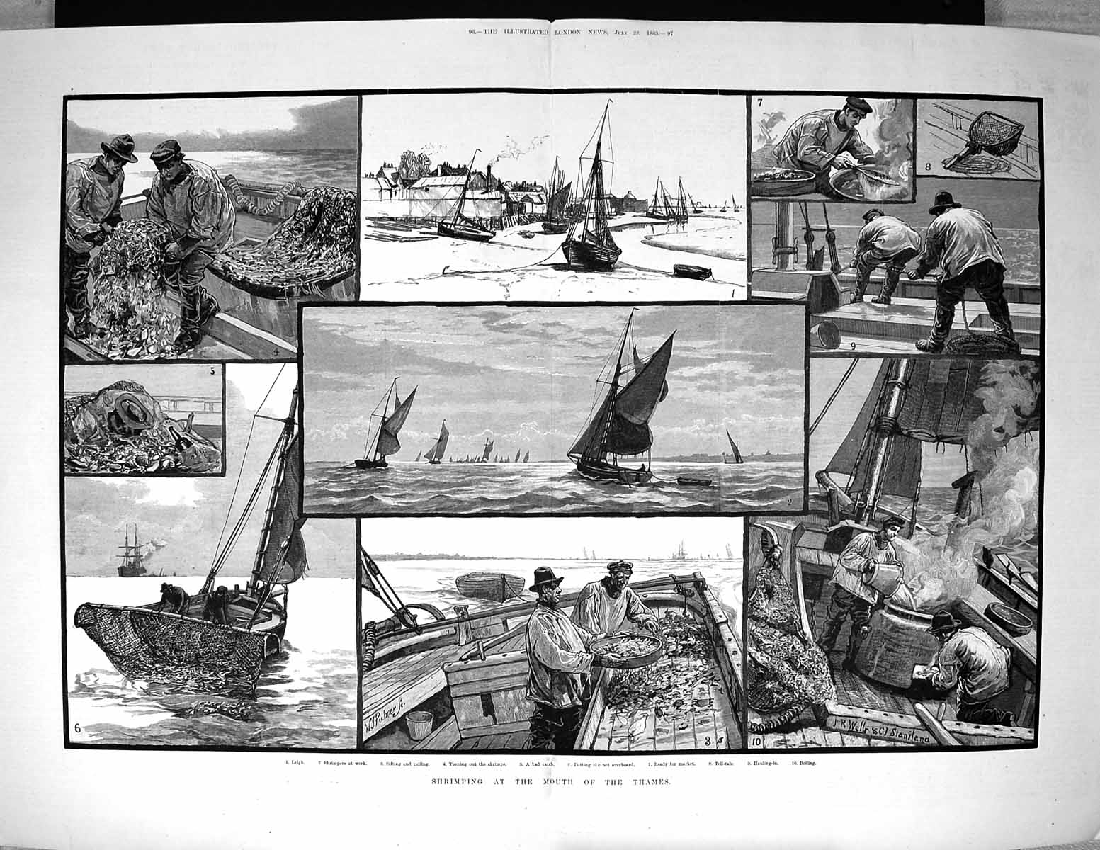 Old 1883 Shrimping Fishing Shrimps Ships Boats Shrimpers Industry Wel 19th