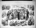 Old 1880 Ascot Horse Racing Harry Hawk Pigeon Sport Betting Longchamp 19th