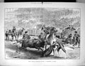 Old 1879 Royal Wedding Festivities Spain Bull Fight Madrid Sport Hors 19th