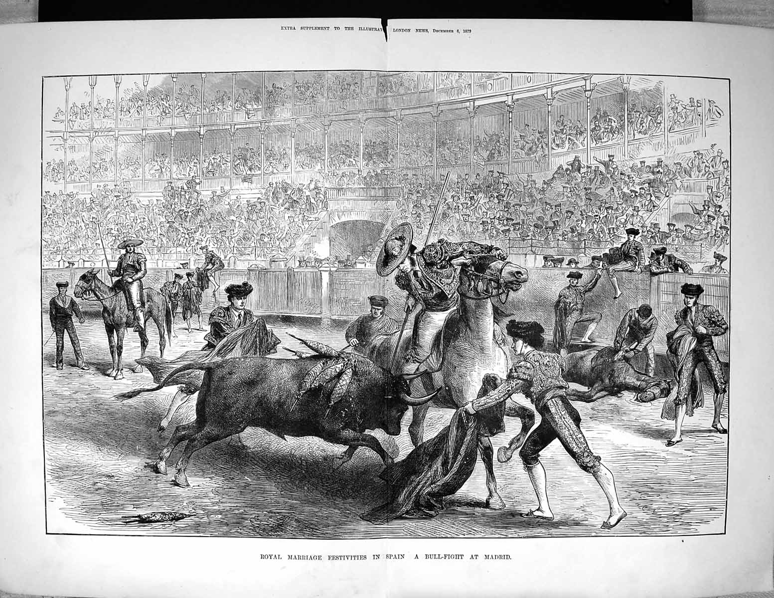 Old 1879 Royal Wedding Festivities Spain Bull Fight Madrid Sport Hors 19th