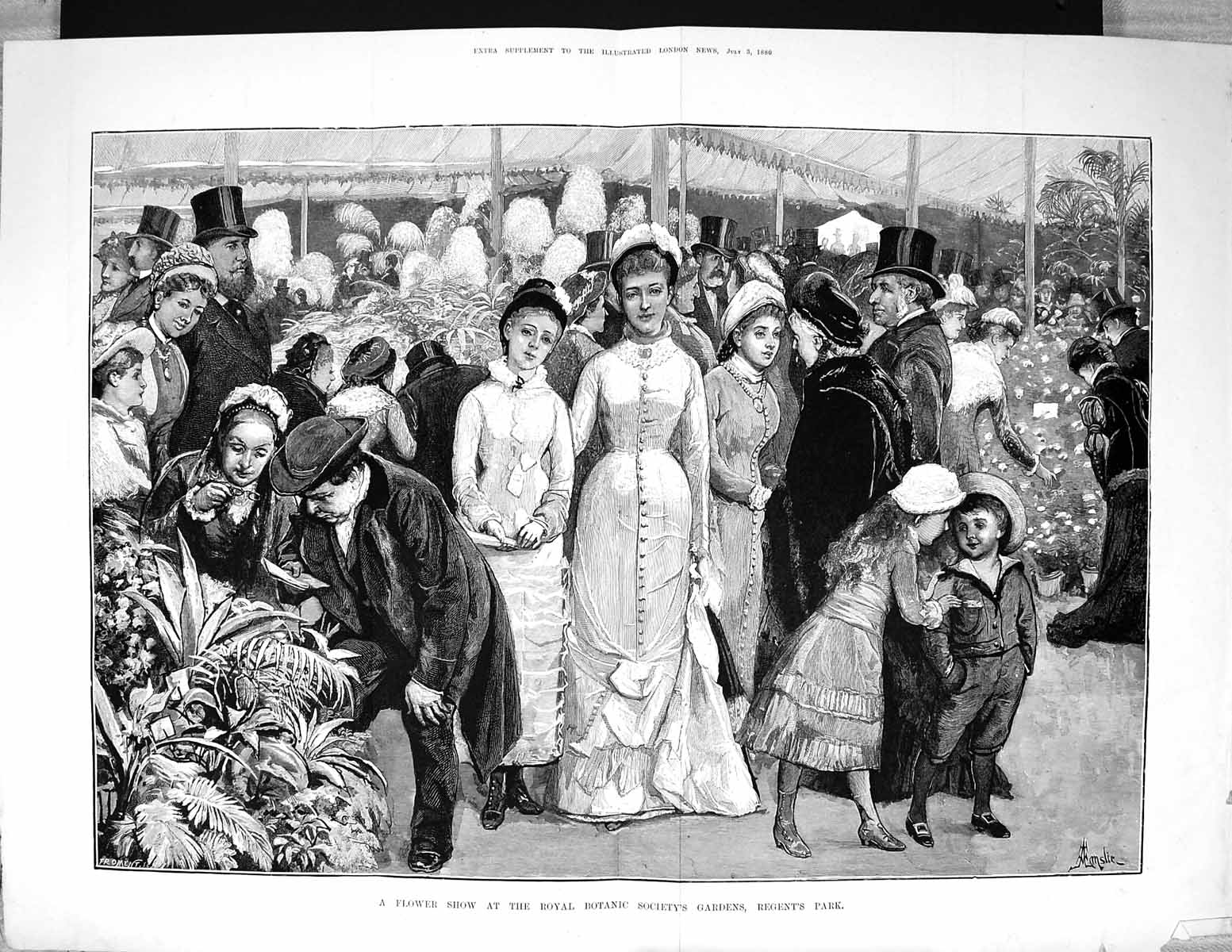Old 1880 Flower Show Royal Botanic Society Gardens Regent'S Park Lond 19th