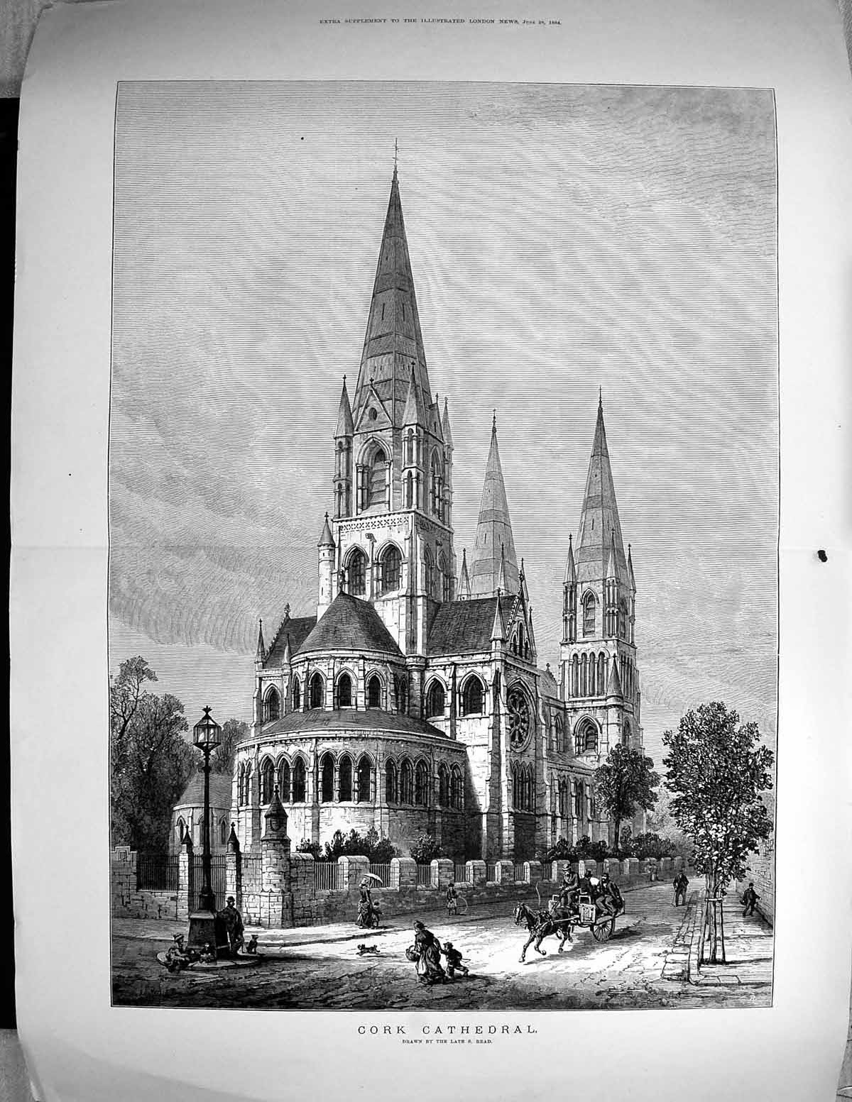 Old 1884 Exterior Cork Cathedral England Architecture Read Fine ArtVictorian