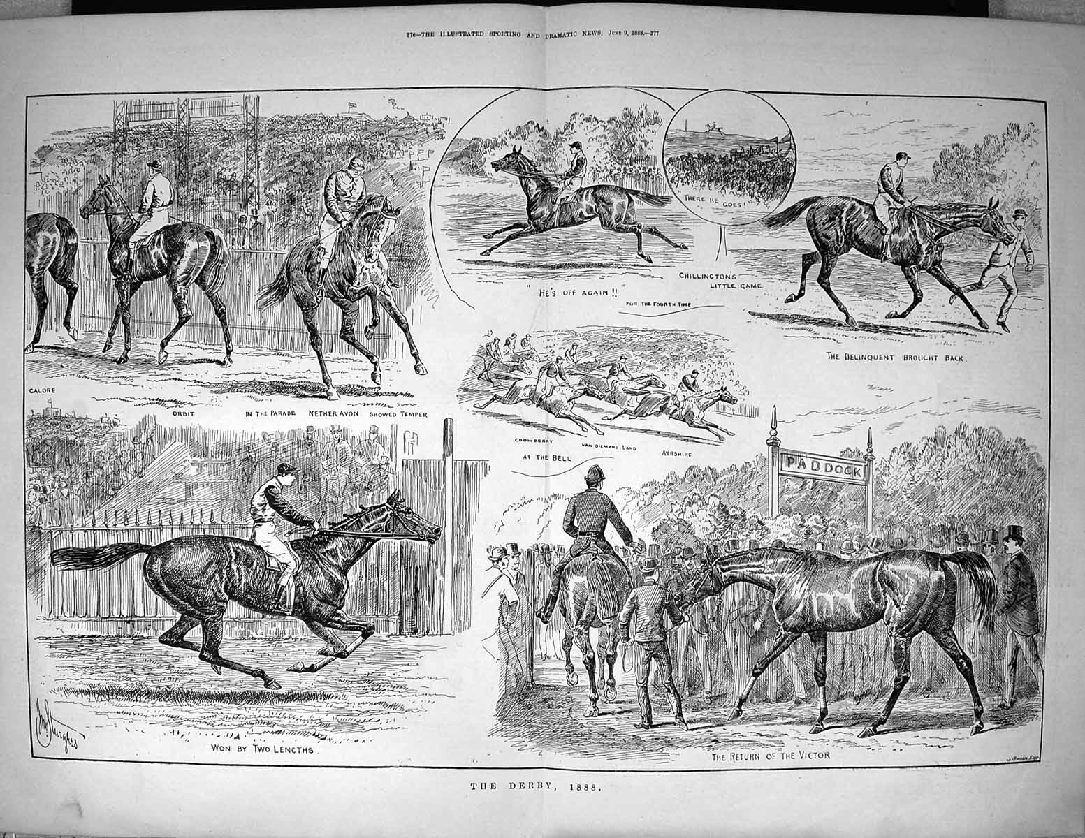 Old 1888 Derby Horse Racing Sport Chillington Crowberry Ayrshire Orbi 19th