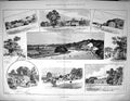 Old 1895 Goodwood Horse Racing Sport Trundle Hill Waterbeach Fred Arc 19th