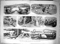 Old Antique Print 1889 Cultivation Art Corea Sketching Club Tiffin Yacht 19th
