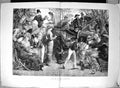 Antique Old Print Damaged 1881 Eton Harrow Cricket Match Sport Spectators 19th