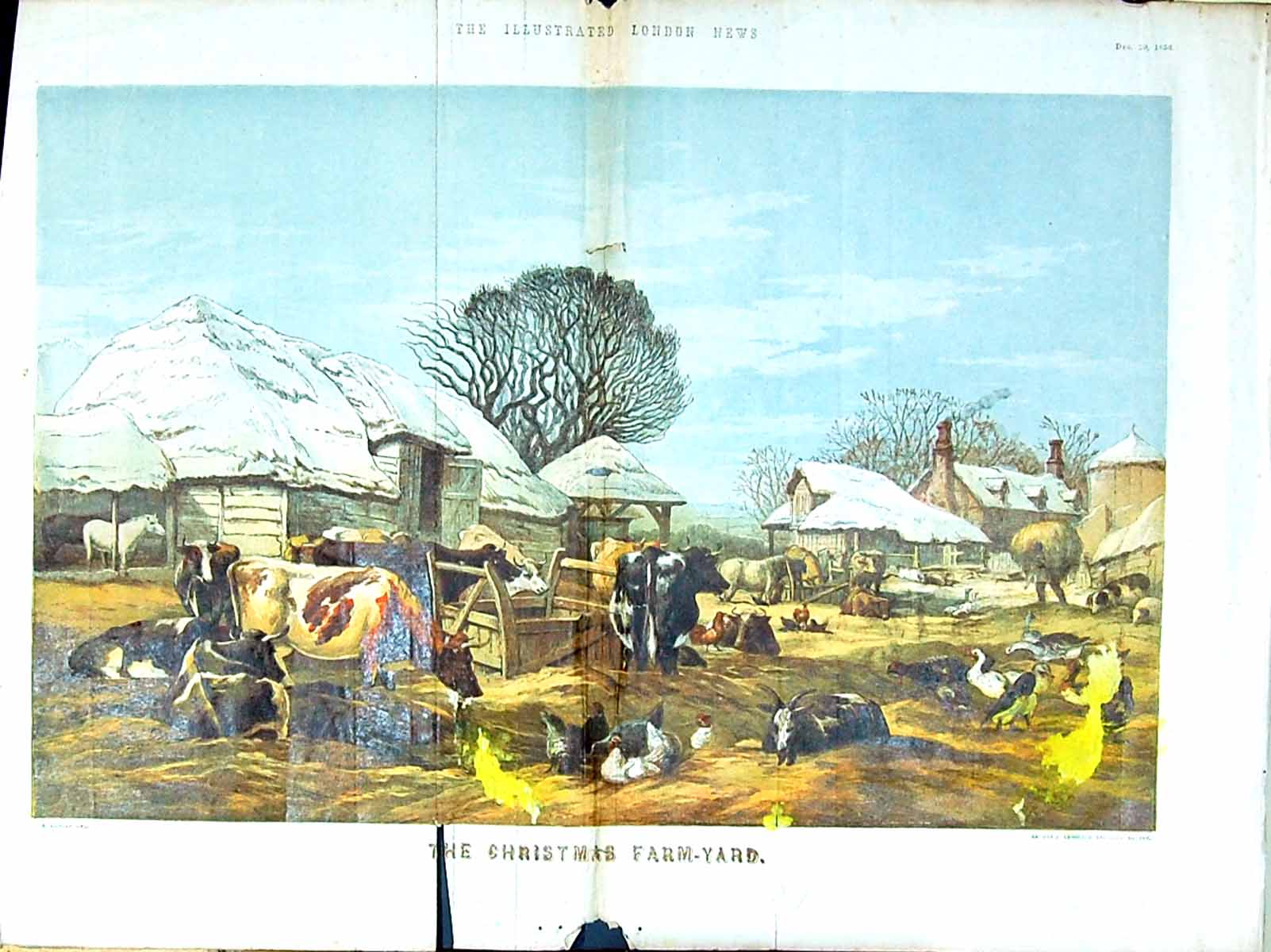 Antique Old Print Large Rare Damaged Christmas Farm Yard Animals Cows Goats