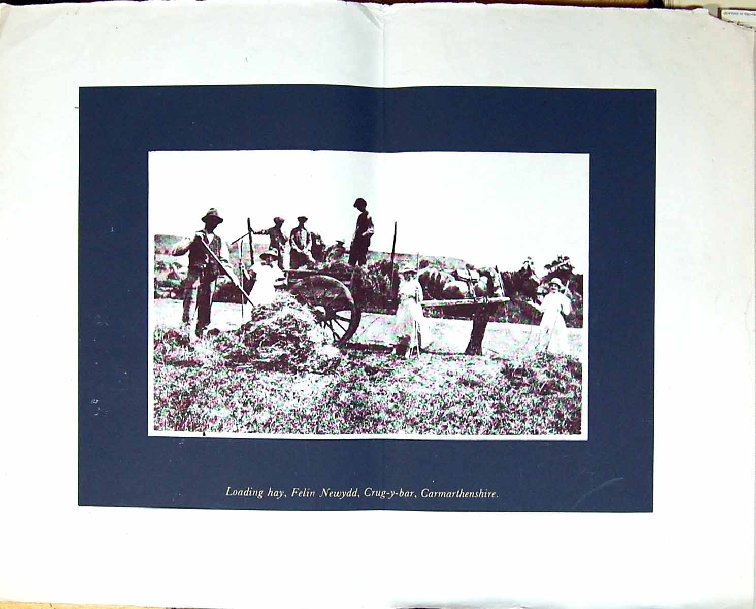 Old Large Agriculture Loading Hay Felin Newydd Carmarthenshire Wales