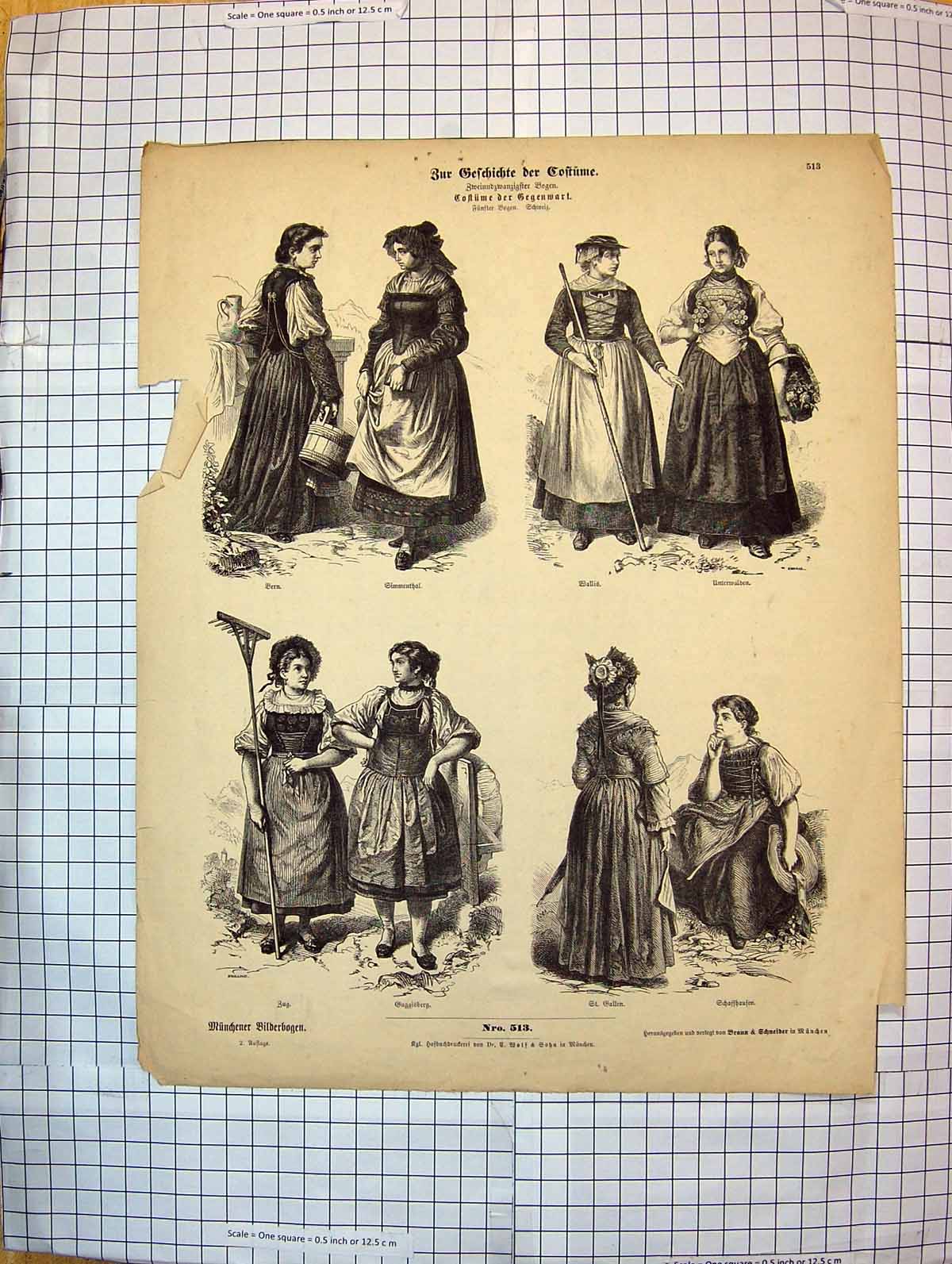 Antique Old Print German Fashion Costumes Outdoor Ladies Dresses Bug Callen