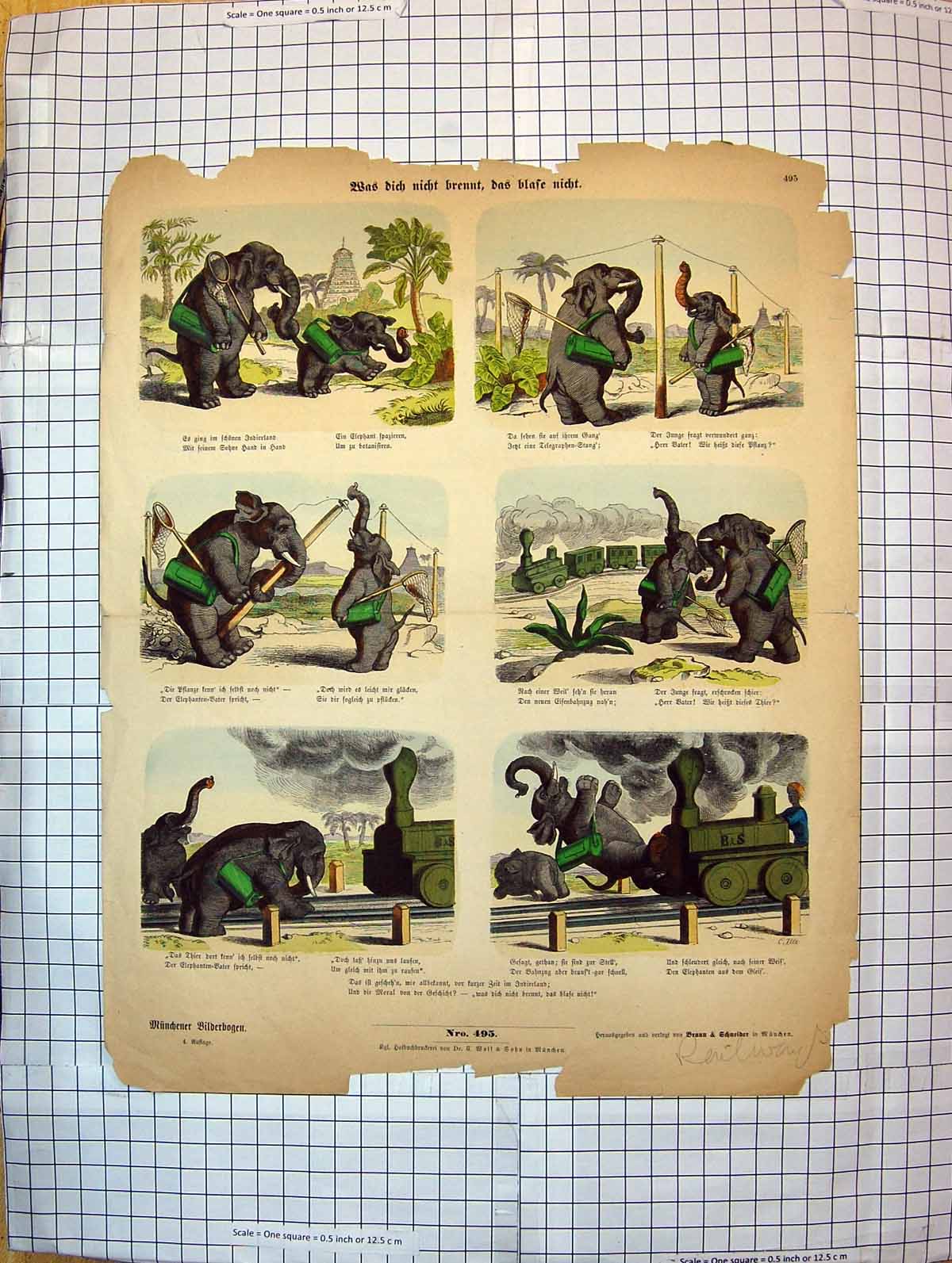Original Old Antique Print Colour Elephants Comedy Nets Railway Train