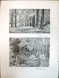 Old Print Art Journal 1908 Open Glade Trees Keeper'S Path Edward Clifford 20th