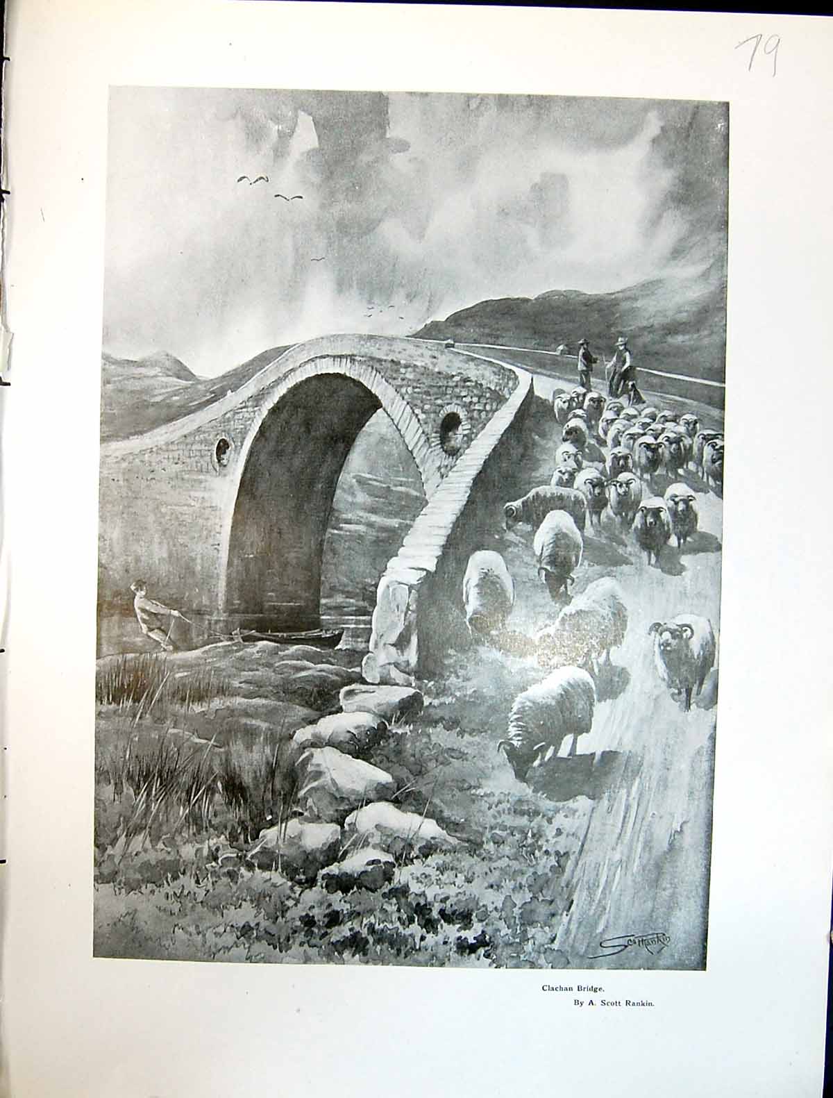 Old Art Journal 1908 Clachan Bridge River Sheep Shepherd Scott Rankin 20th