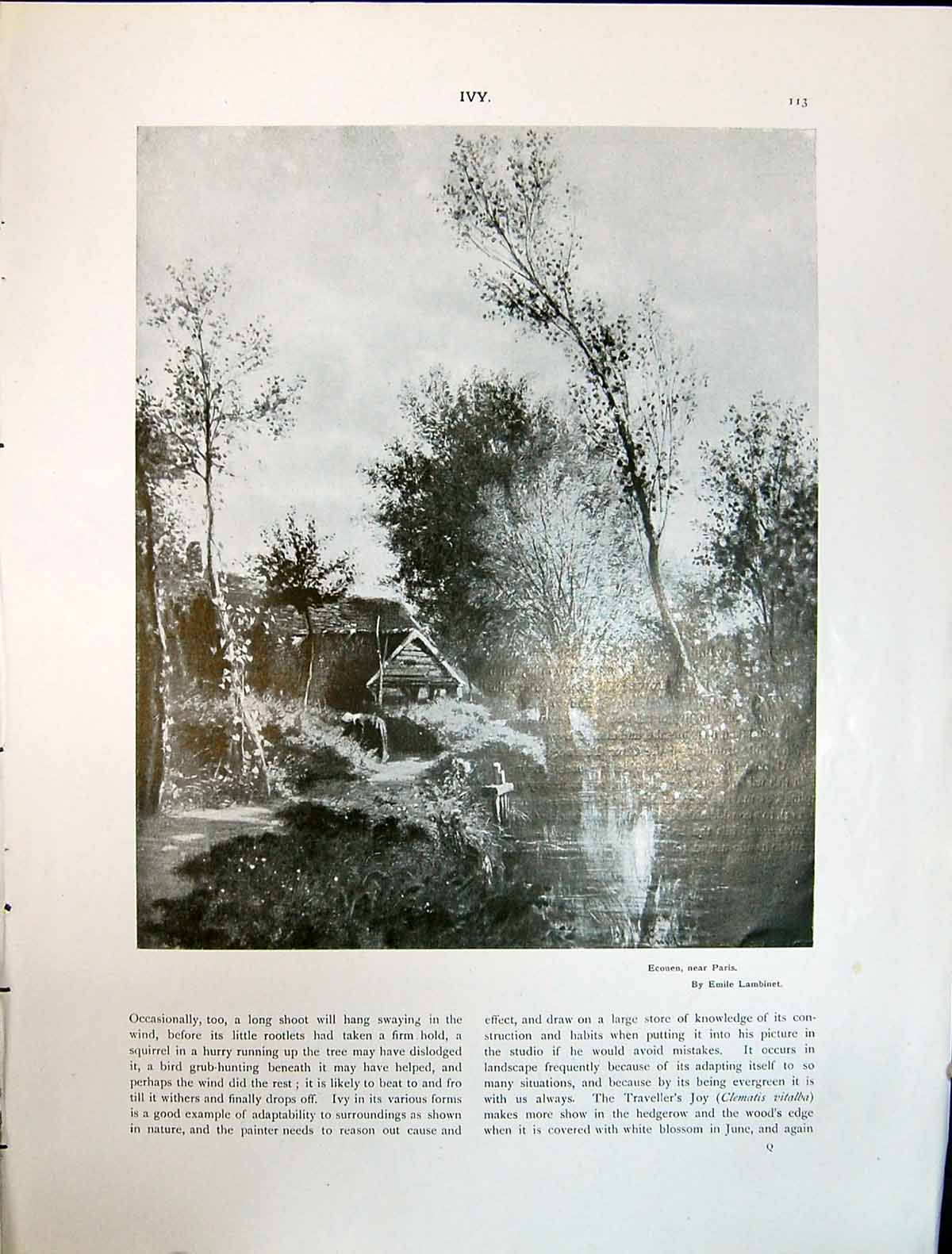 Old Art Journal 1908 Ecouen Paris France Lambinet Weasel Putorius Niv 20th