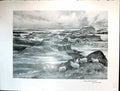 Old Art Journal 1908 Group Netherlorn Islands Sheep Rankin Foster'S M 20th