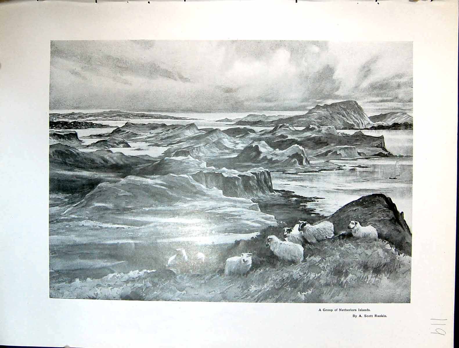Old Art Journal 1908 Group Netherlorn Islands Sheep Rankin Foster'S M 20th