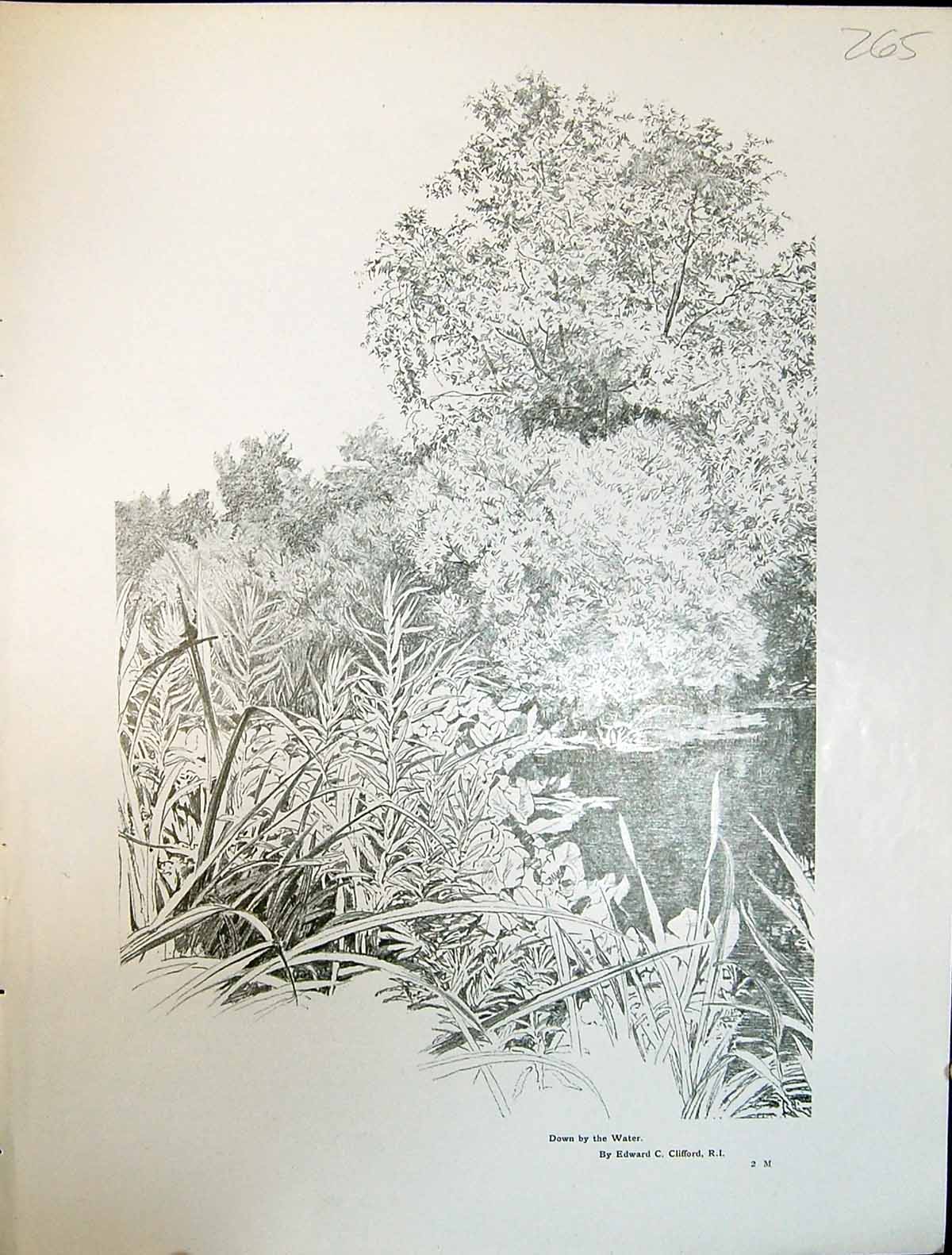 Old Art Journal 1908 Scene Down By The Water Trees Plants Edward Clif 20th
