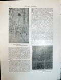 Old Art Journal 1908 Design Stained Glass Rushbury Modelled Tiles Aus 20th