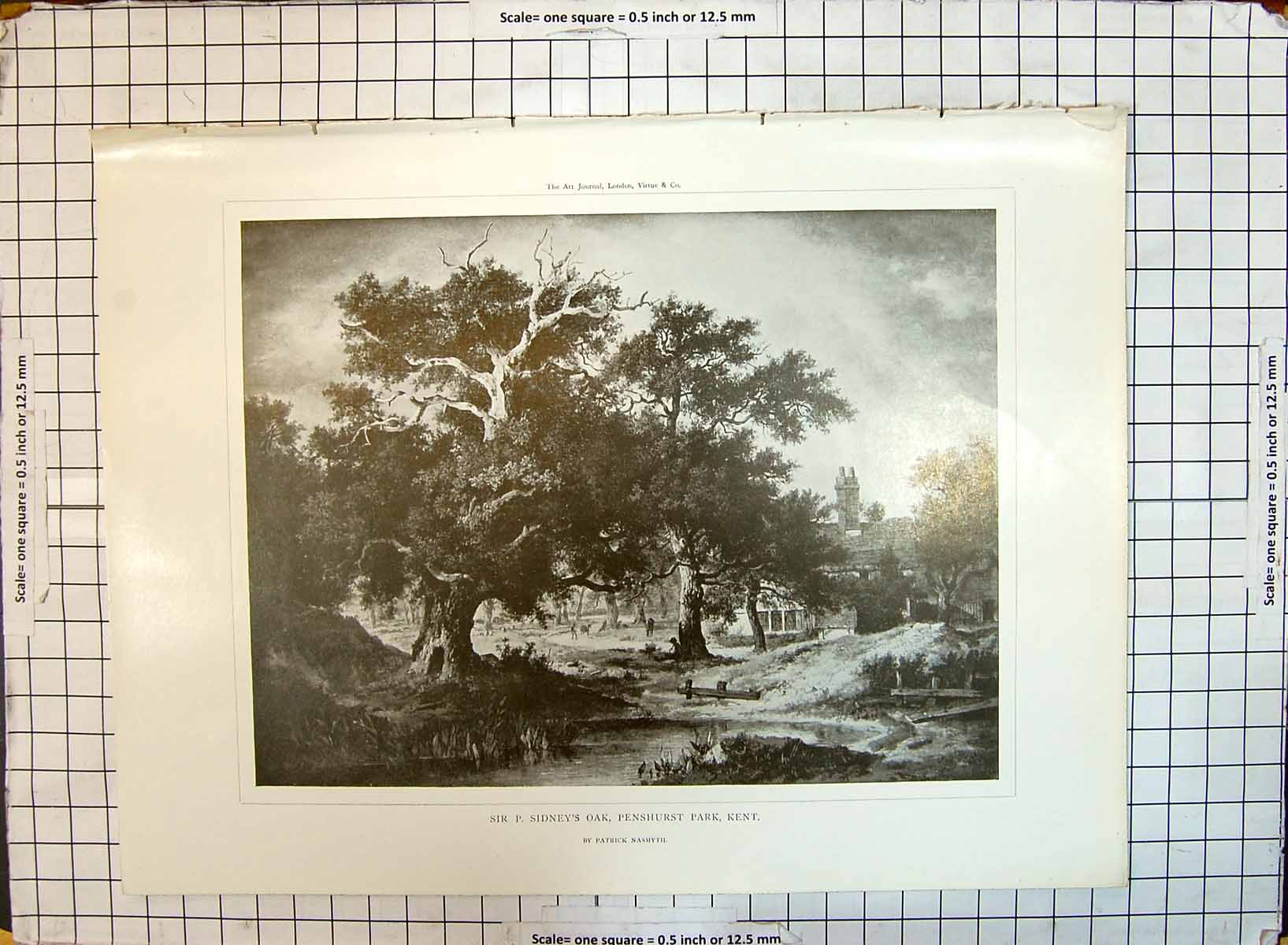 Old Print Sir Sidney Oak Tree Penshurst Park Kent England Patrick Nasmyth