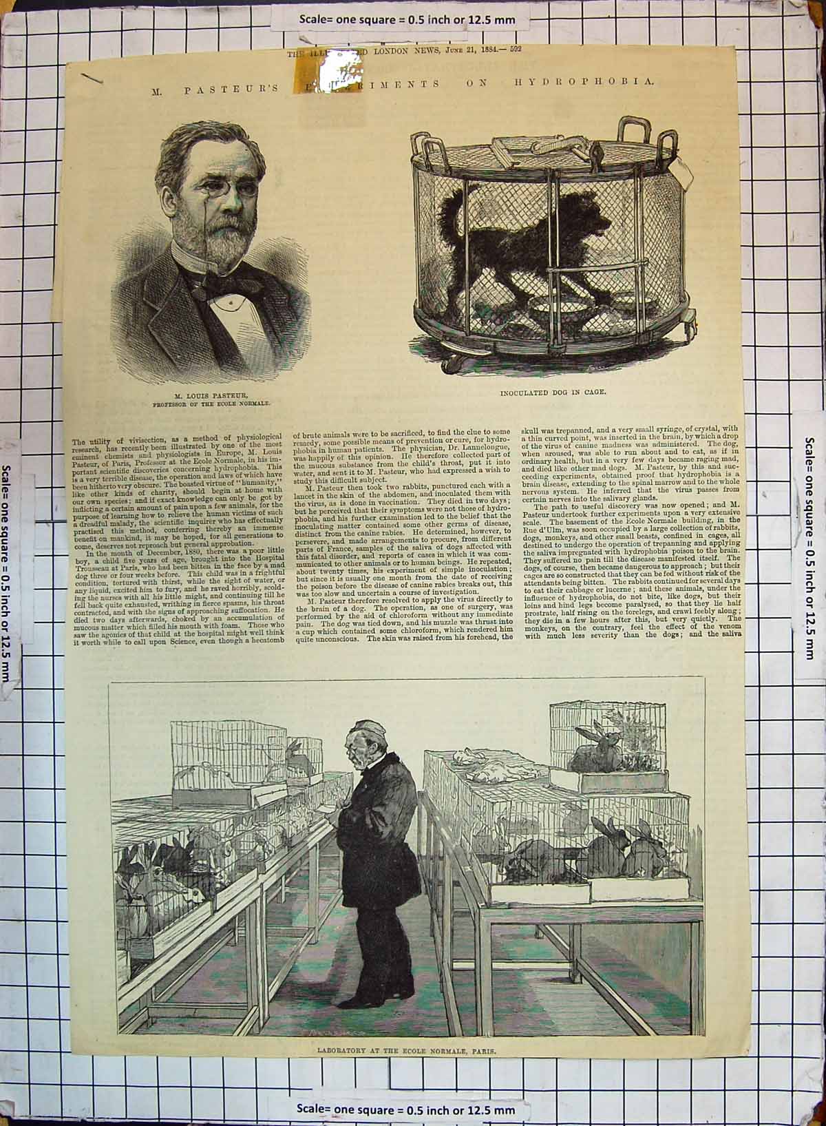 Antique Print 1884 Louis Pasteur Pressor Ecole Normale Laboratory Dog Cage 19th