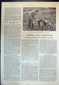 Antique Old Print Aubrey Wykeham Bird Isle Wight Shoot Deer Pigs Ceylon 1933