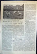 Old Print Royal Show Mrs Evelyns Jersey Herd Kings Prize Milk Surrey 1932 20th