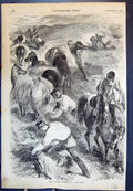 Old Antique Print English Cavalry Gathering Hay Crimea Horses Siers 1855 19th
