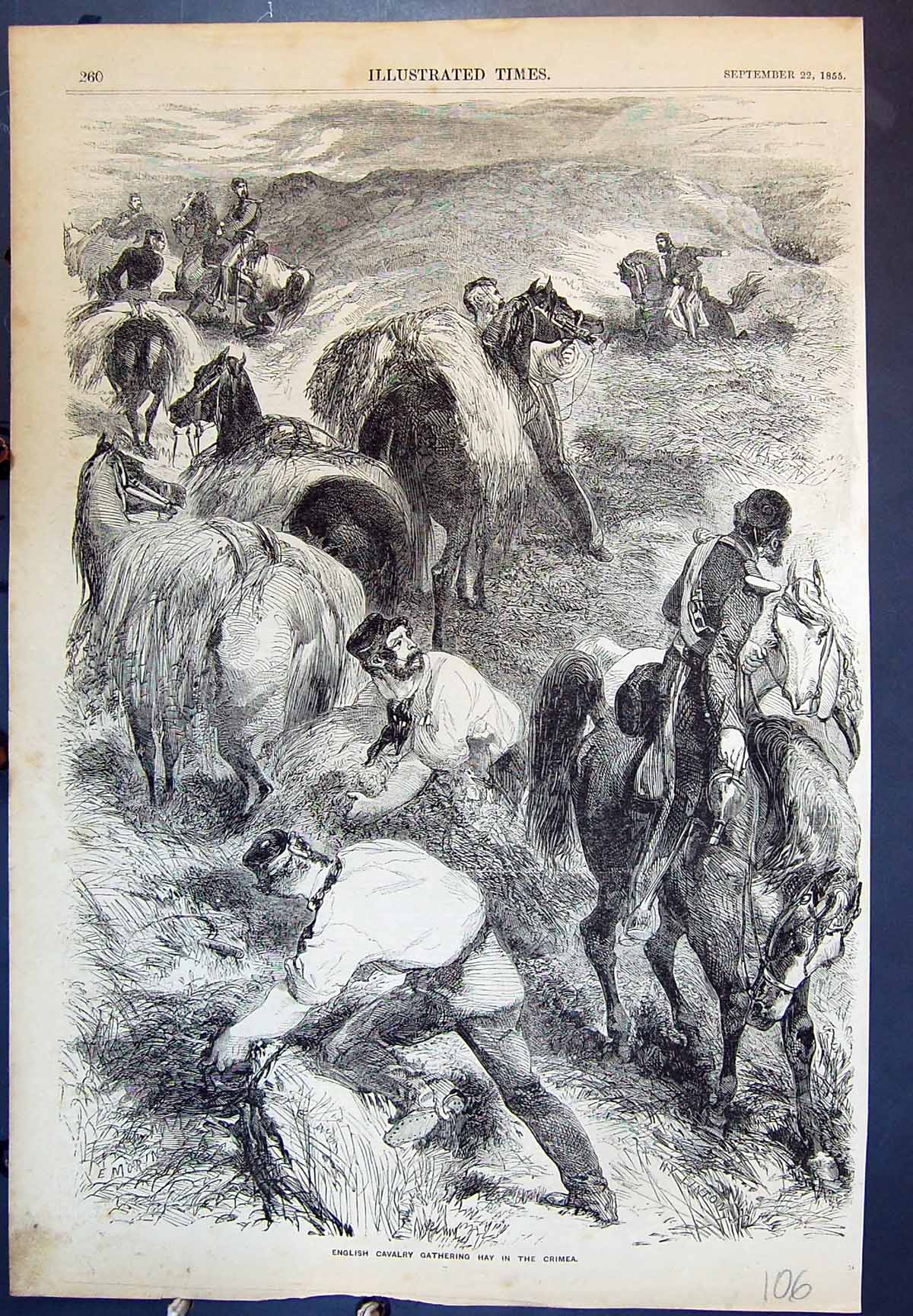 Old Antique Print English Cavalry Gathering Hay Crimea Horses Siers 1855 19th