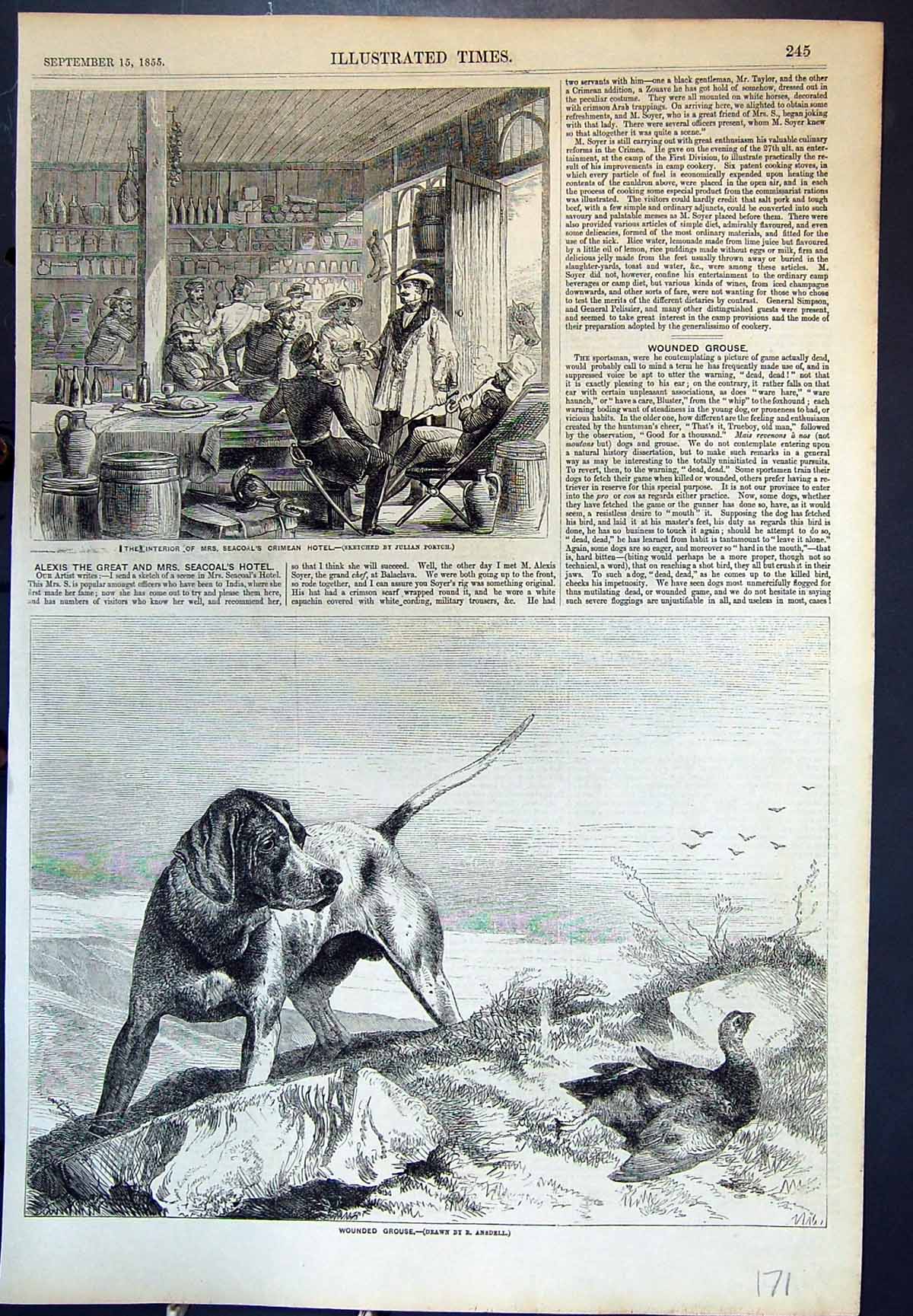 Original Old Antique Print Mrs Seacoals Crimean Hotel Hound Wounded Grouse 1855
