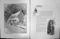 Old Hayward Young Sketch C1912 Kentish Cottage Trees Scotch Firs Groo 20th