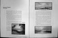 Old Hayward Young Sketch C1912 Sea Coast Trees Shrimpers Musell Fishe 20th