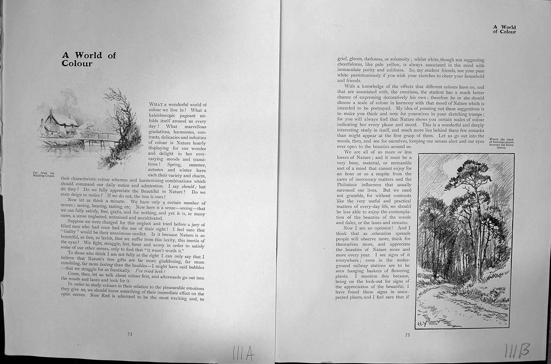 Old Hayward Young Sketch C1912 House River Bridge Trees Woods Beeches 20th