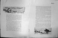 Old Hayward Young Sketch C1912 Village Scene Snow Pine Woods Landscap 20th