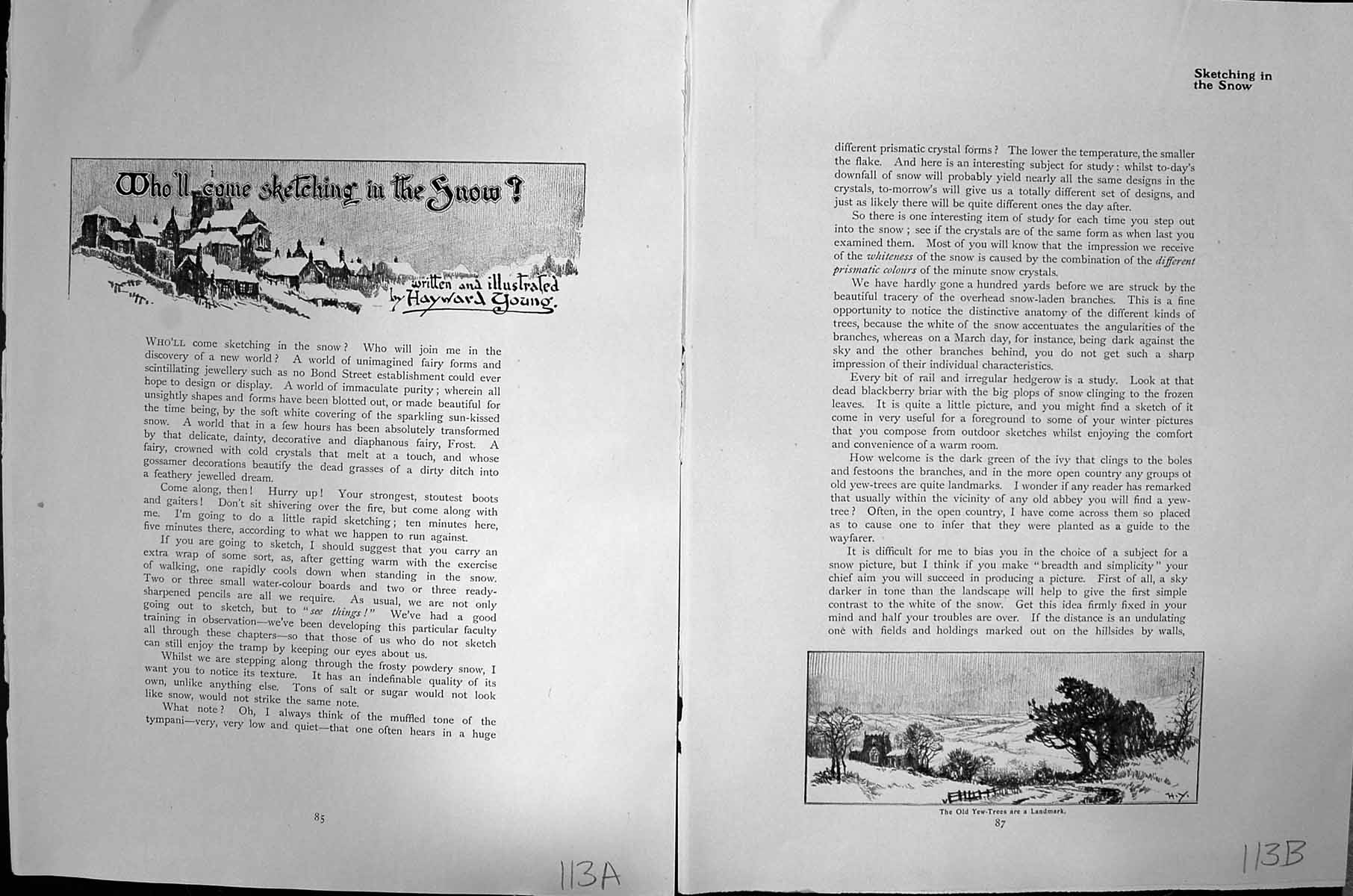 Old Hayward Young Sketch C1912 Village Scene Snow Pine Woods Landscap 20th