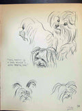 Old C1932 Important People Dowd-Brenda Spender Sketch Scruffy Dogs An 20th